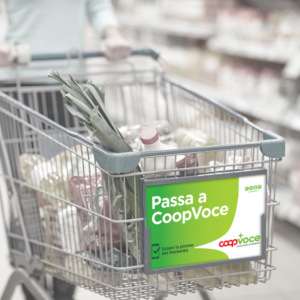 CoopVoce Redesign Agenzia di Comunicazione Bologna